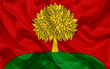 Липецкий флаг