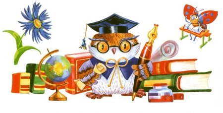 Сова с книгой на прозрачном фоне