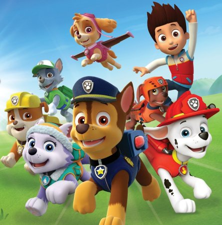 Белый патруль отряд