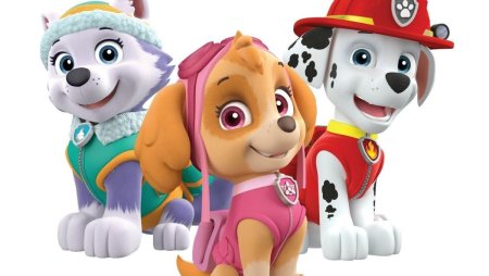 Щенячий патруль Скай Эверест и Маршал