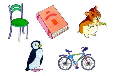 Изображения разных предметов