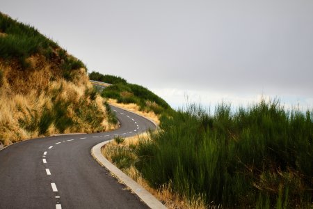 Извилистая дорога