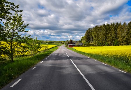 Дорога летом