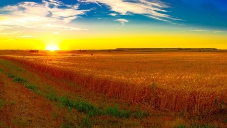 Степи Украины