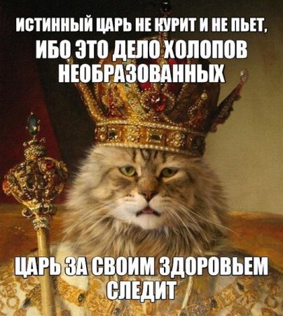 С днём рождения царь прикольные