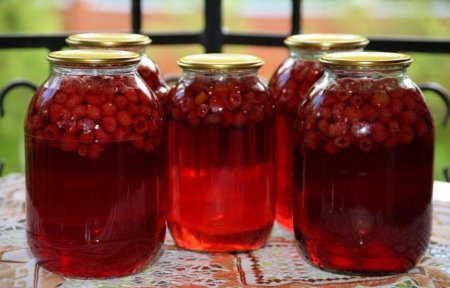 Малиновый компот