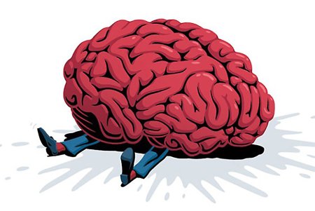 Мозг картинка