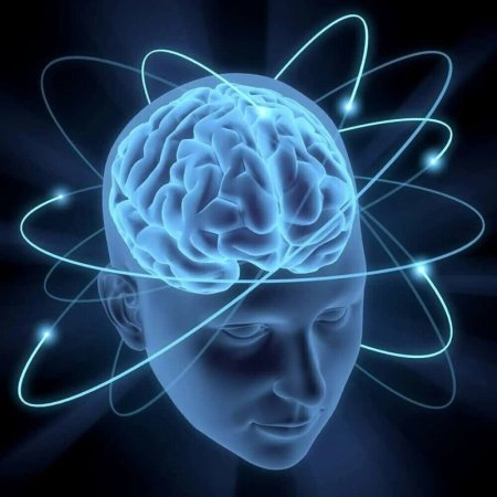 Красивый мозг