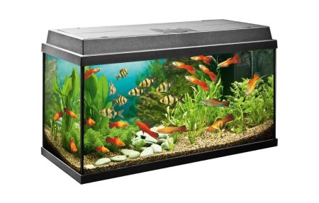 Аквариум 80 литров