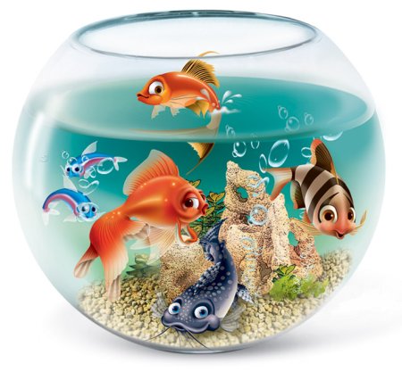 Рыбки для аквариума