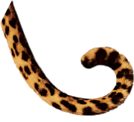 Хвост на прозрачном фоне