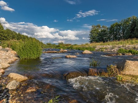Река Вожа Рязанская область