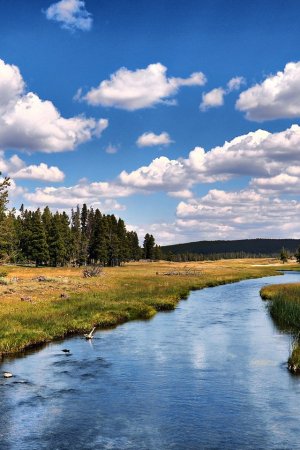 Красивая река