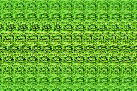 Стереограммы для зрения для новичков