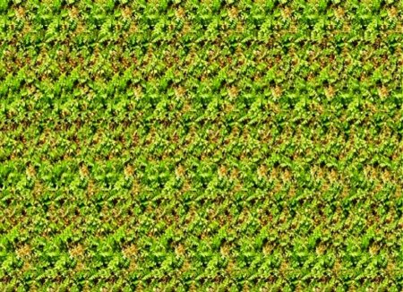 Стереограммы Хидден 3д