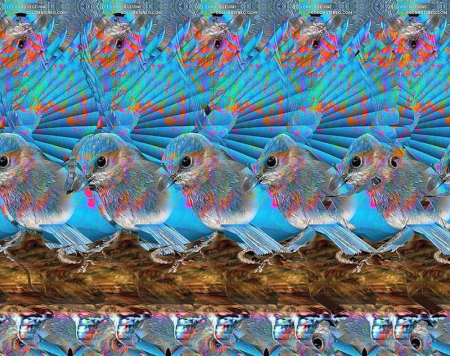 Стереограммы и стереокартинки