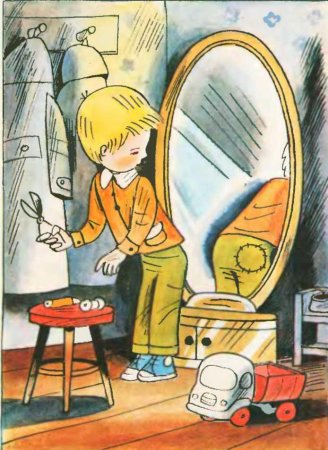 Рассказ н.н.Носова «заплатка»