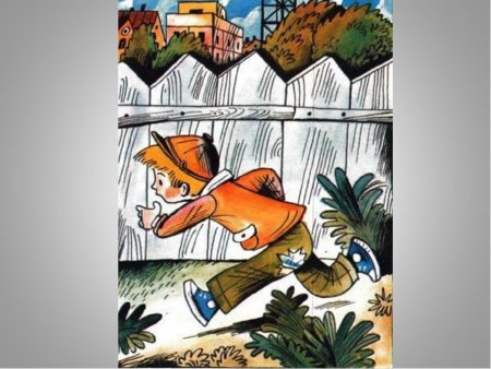 Н Н Носова заплатка