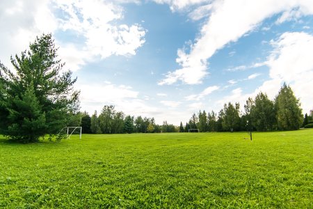 Лесные Поляны Полянка 194