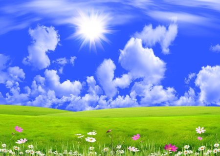 Поляна с цветами голубое небо