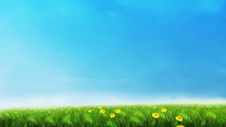 Летний фон для презентации