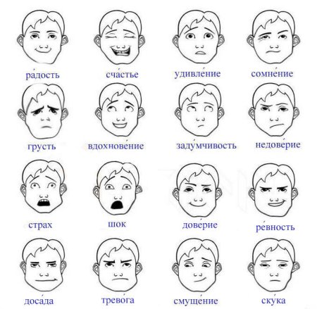Мимика человеческого лица схема