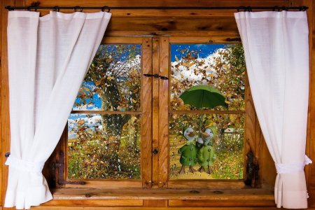 Шторы на окна