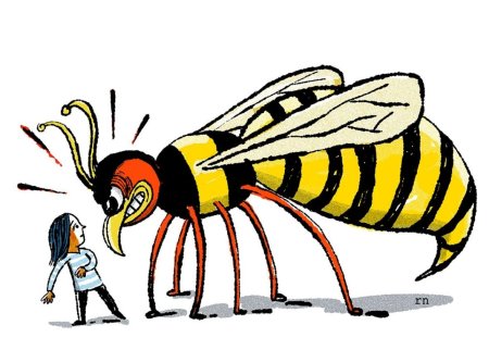 Шмель пчела Оса Шершень укусы