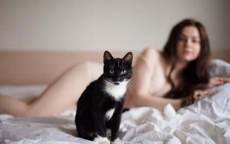Девушка кошечка