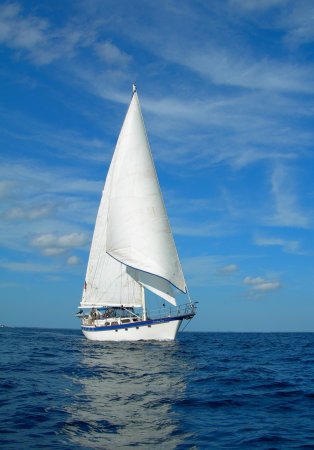 Парус Белеет Парус одинокий