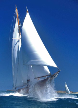 Парусник маленький