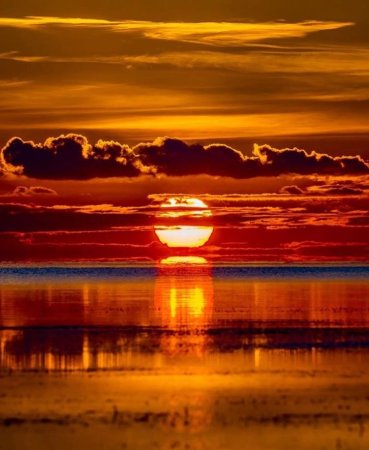 Сансет Санрайз