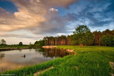 Беларуси природа в Белоруссии