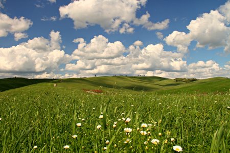 Беларусь Поляна равнинная