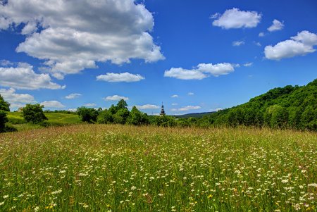 Поля Марий Эл