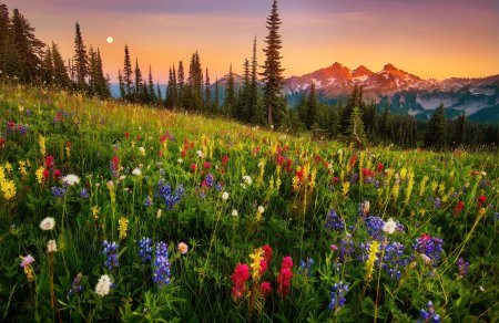 Красивые Луга