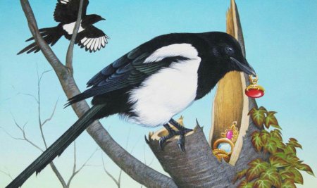 Сорока тащит украшения