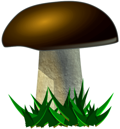 Грибы для детей на прозрачном фоне