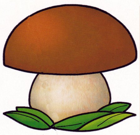 Грибы для дошкольников