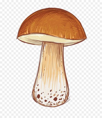 Грибы мультяшные