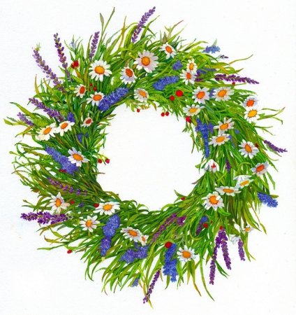 Венок из полевых цветов акварель