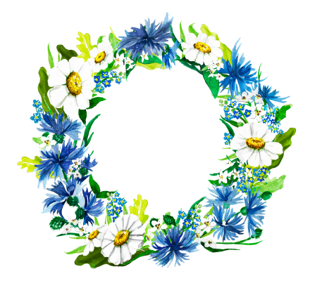 Полевые цветы в круге