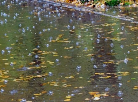 Пузыри на лужах