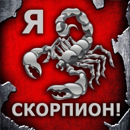 Классные картинки скорпиона