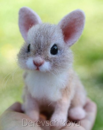 Маленькие животные