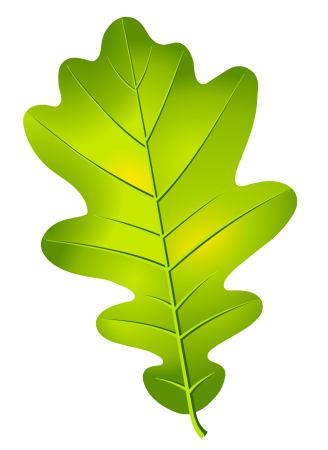Дубовый лист