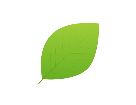 Листья деревьев