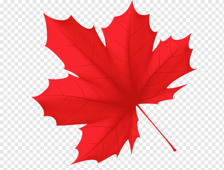 Осенний листок