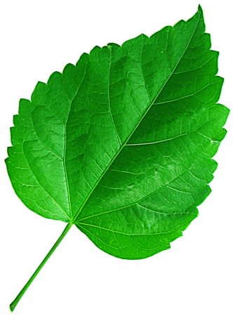 Листок для детей