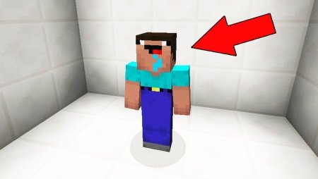 Фотографии НУБИКА